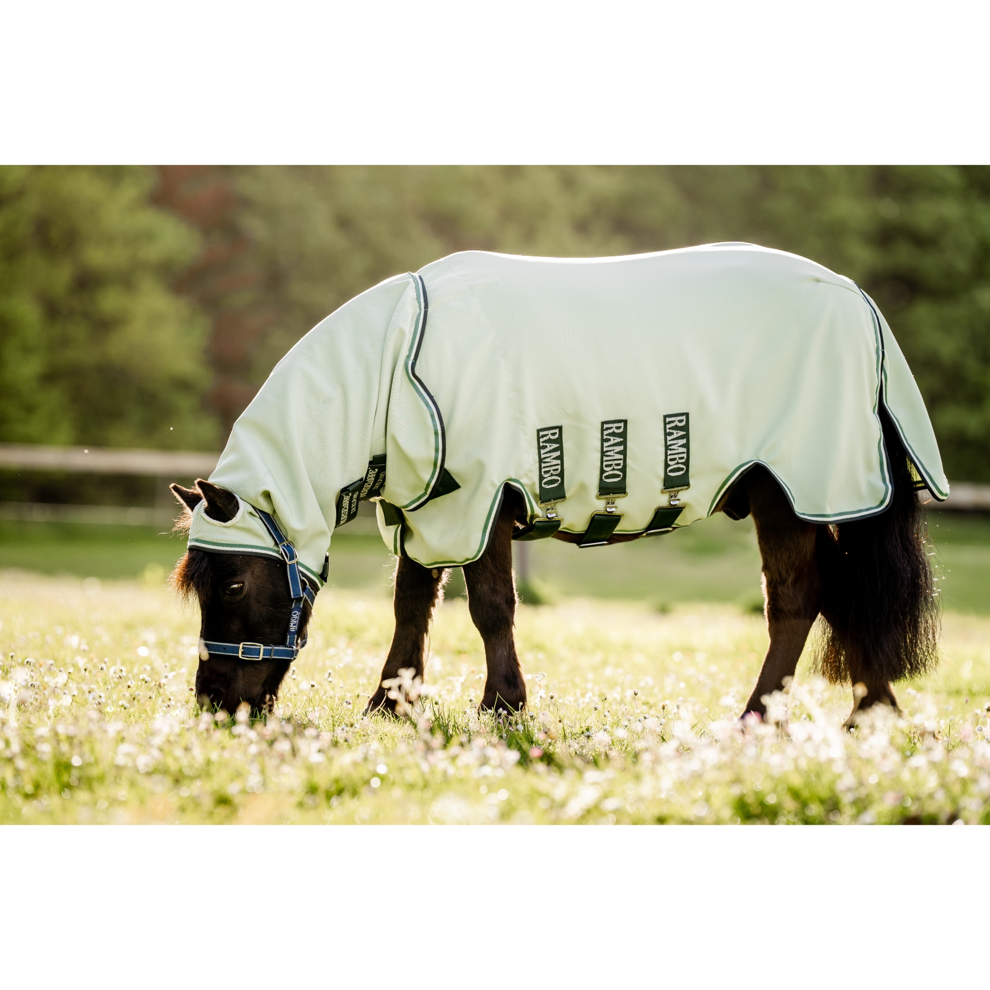Horseware Rambo Petite Hoody (Pony)
