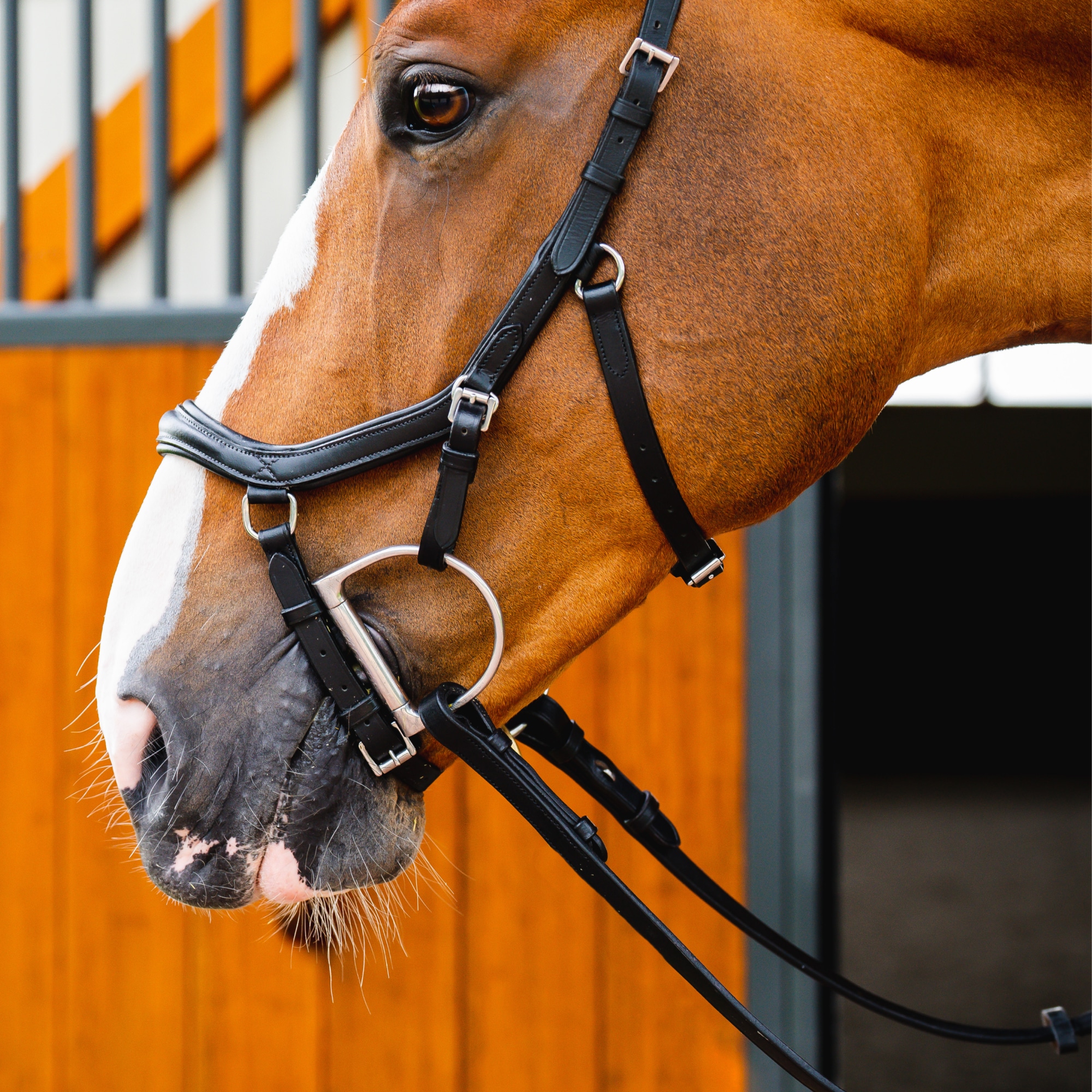 Horseware Rambo Micklem 2 Deluxe Competition Trense