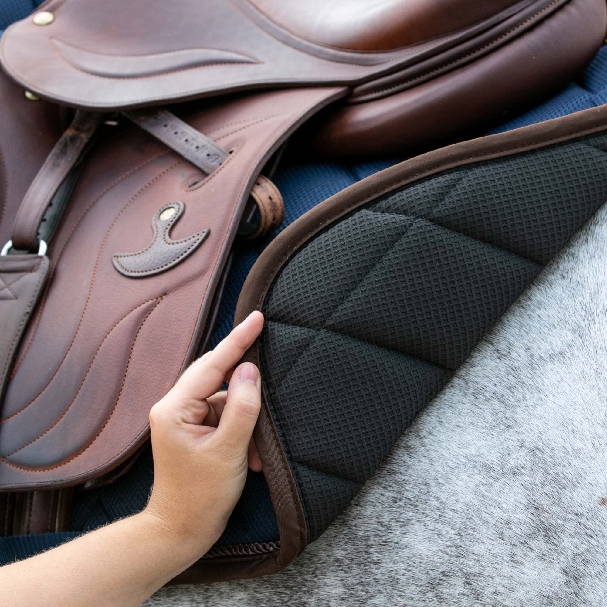 Back on Track Airflow Jumping Saddle Pad