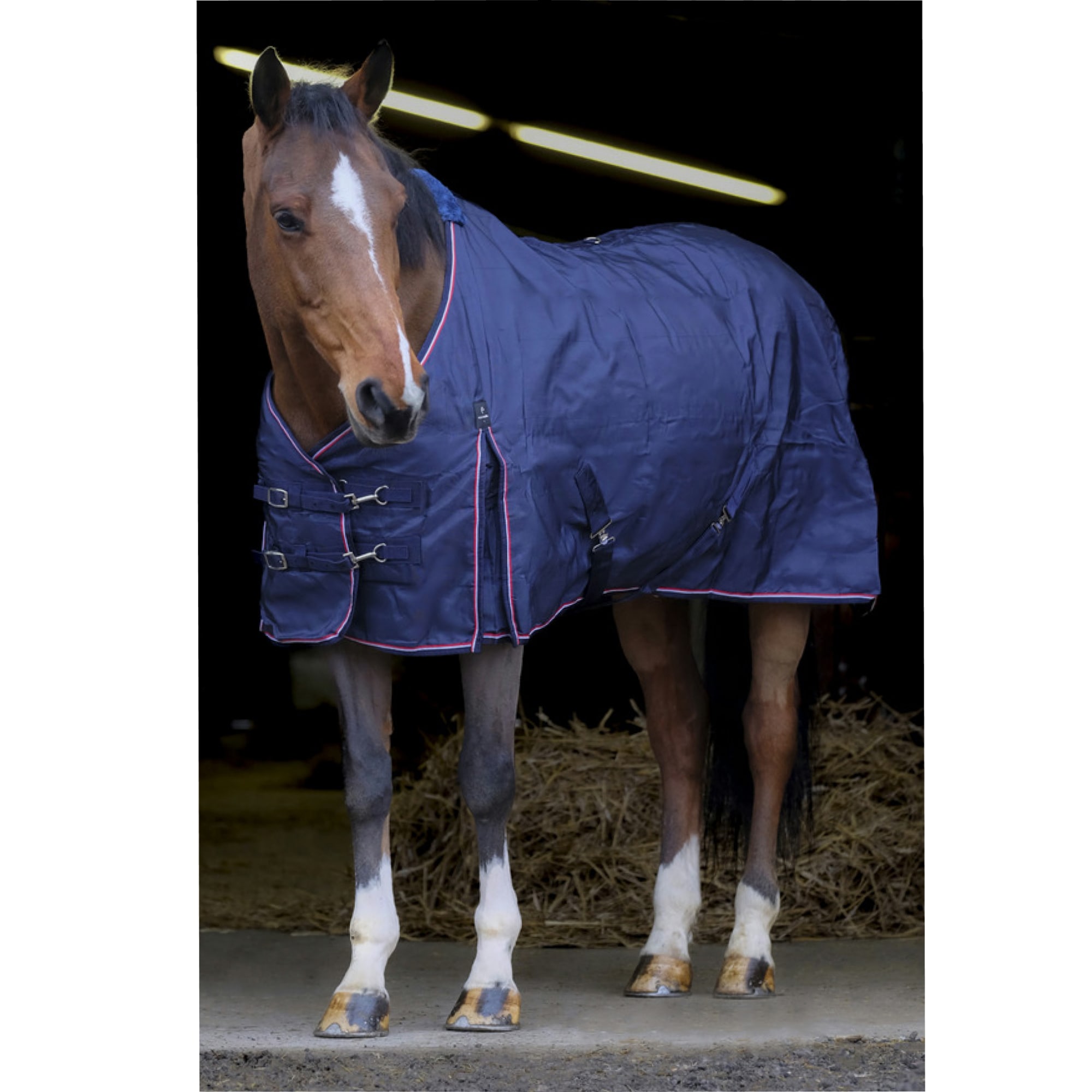 Equitheme 840D Stable Rug, 300g