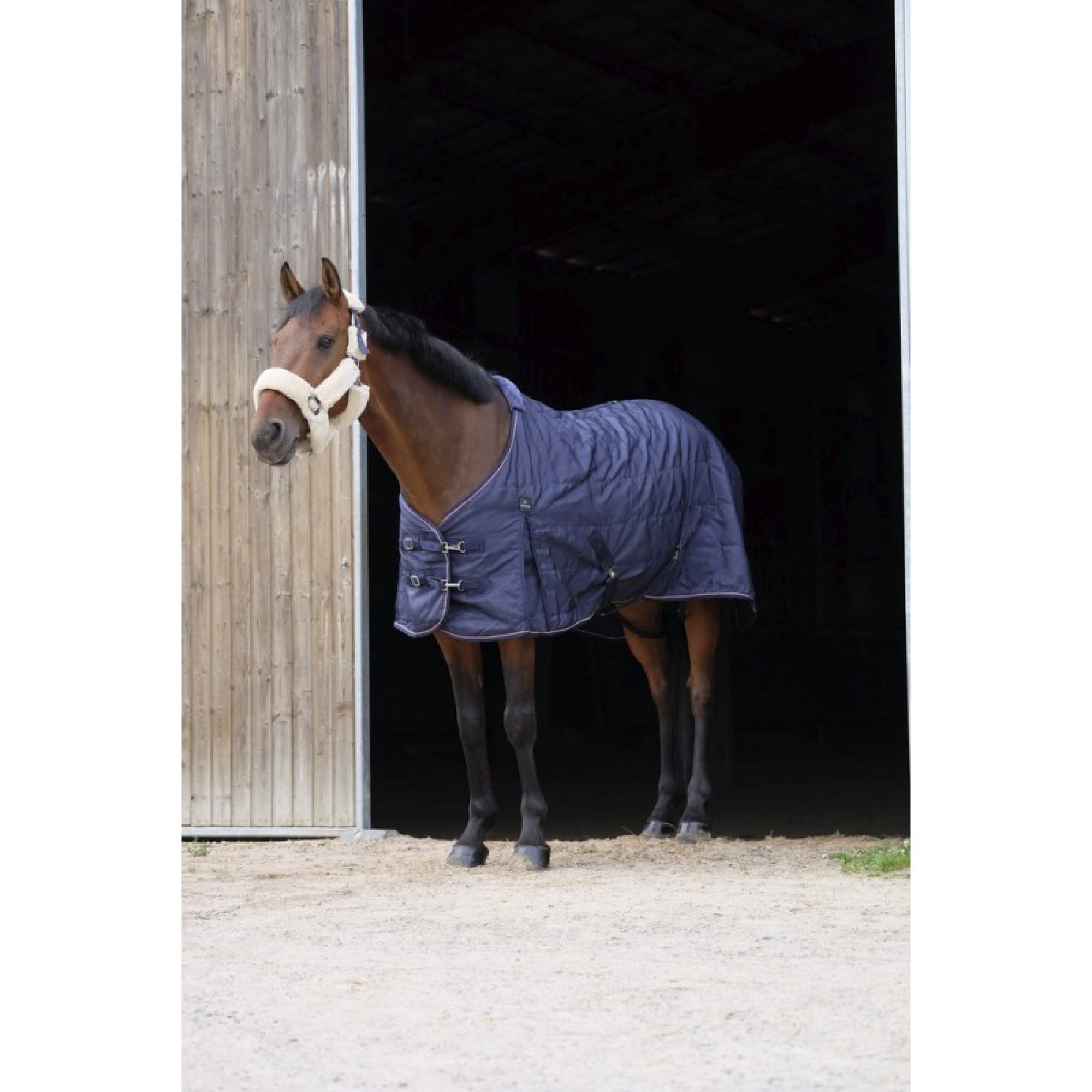 Equitheme 840D Stable Rug, 300g