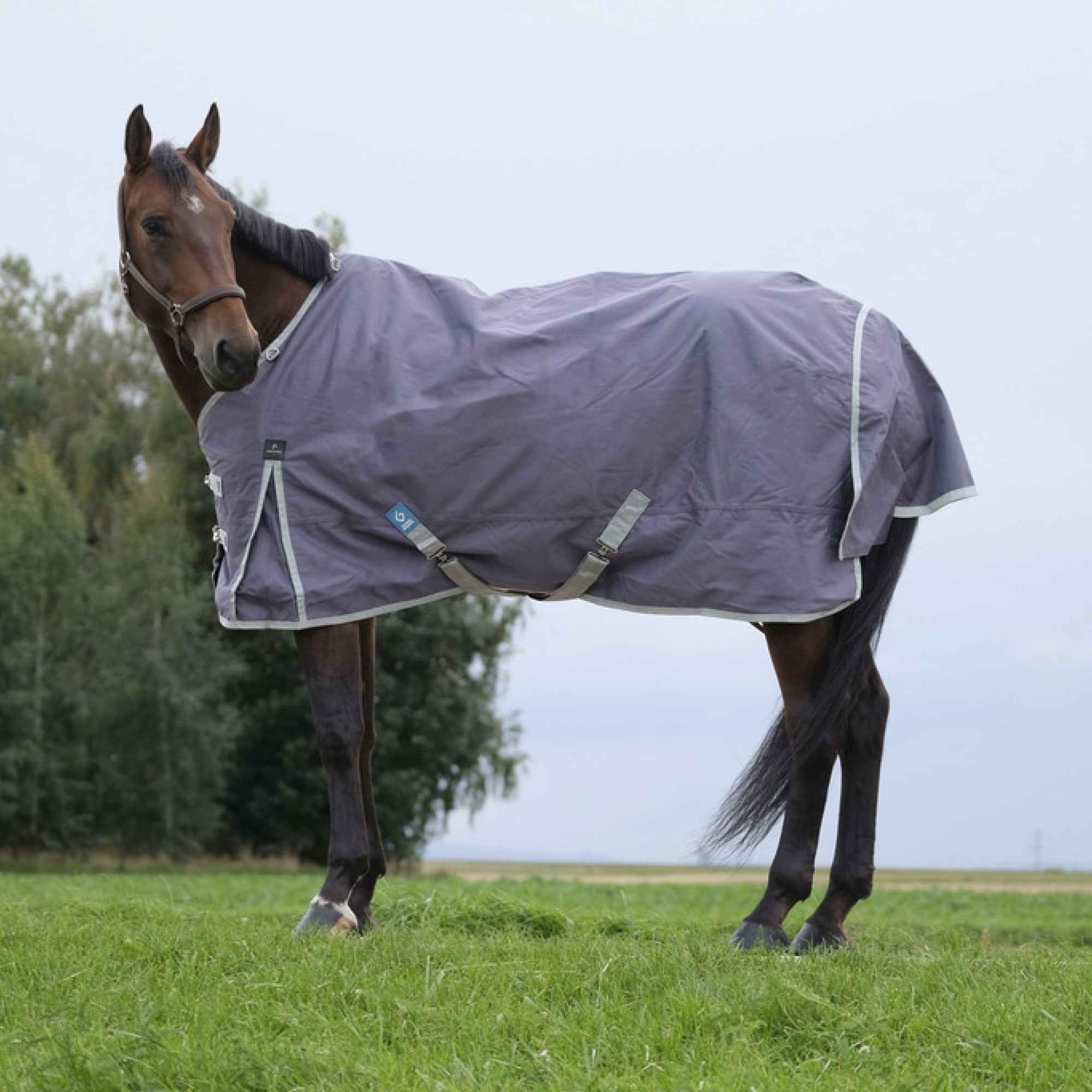 Equitheme Tyrex 1200D Recycled Turnout Rug, 0g