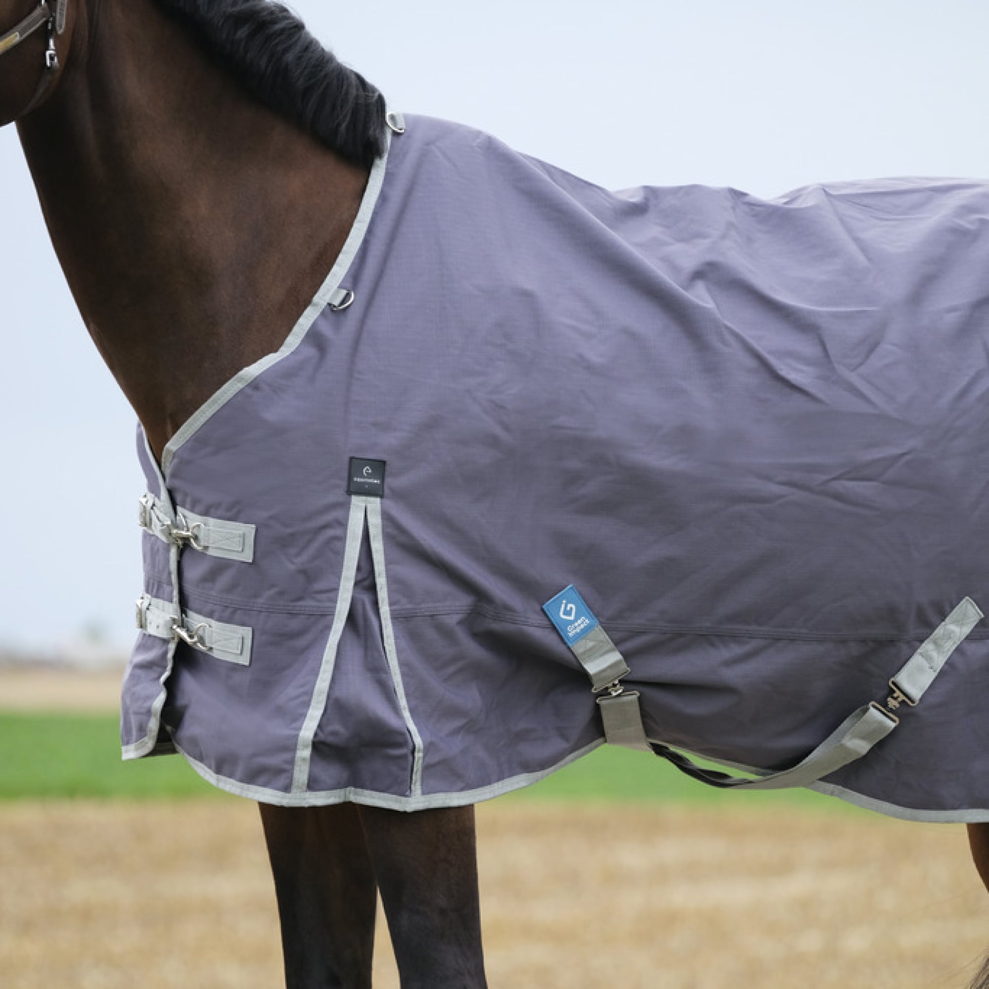 Equitheme Tyrex 1200D Recycled Turnout Rug, 150g