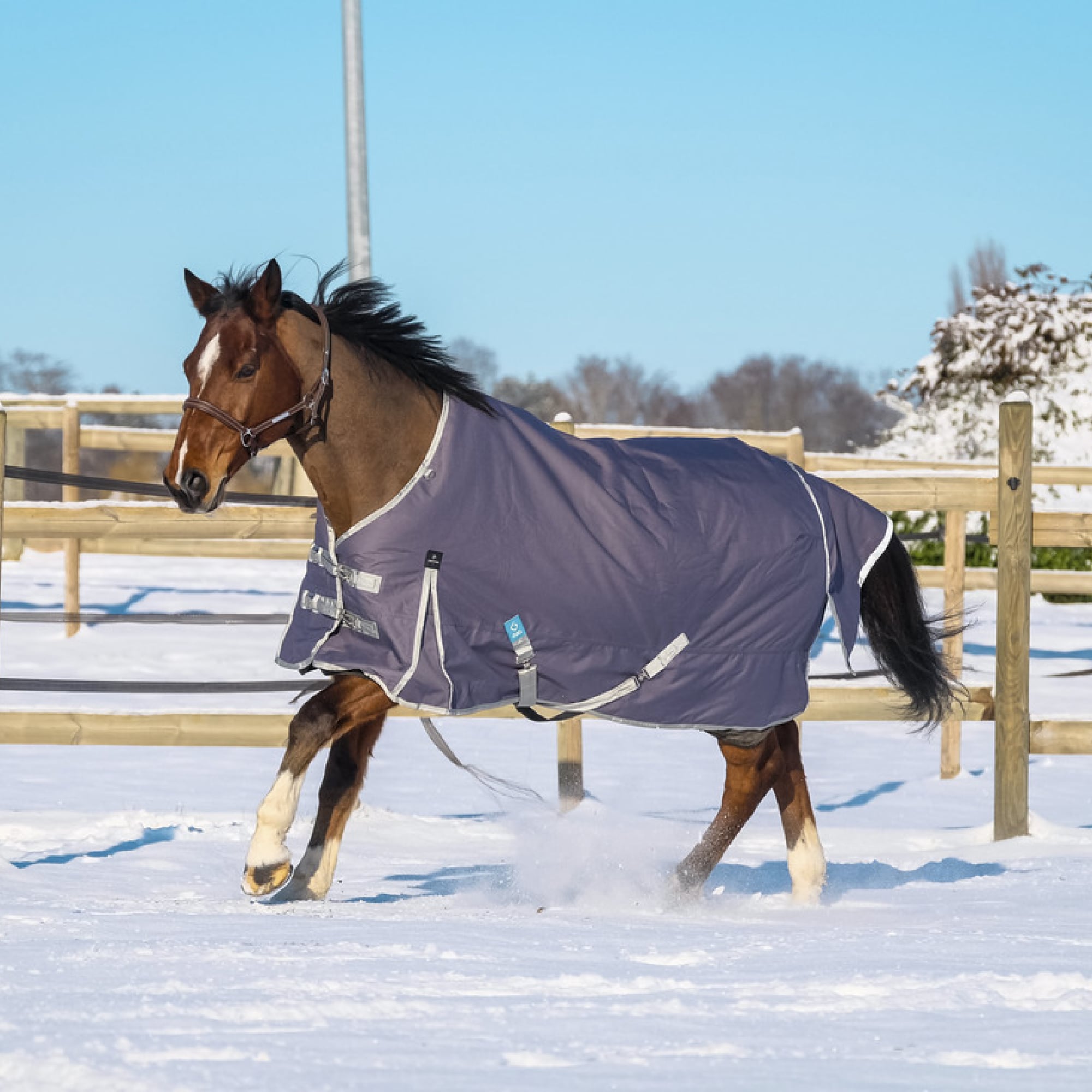 Equitheme Tyrex 1200D Recycled Turnout Rug, 300g