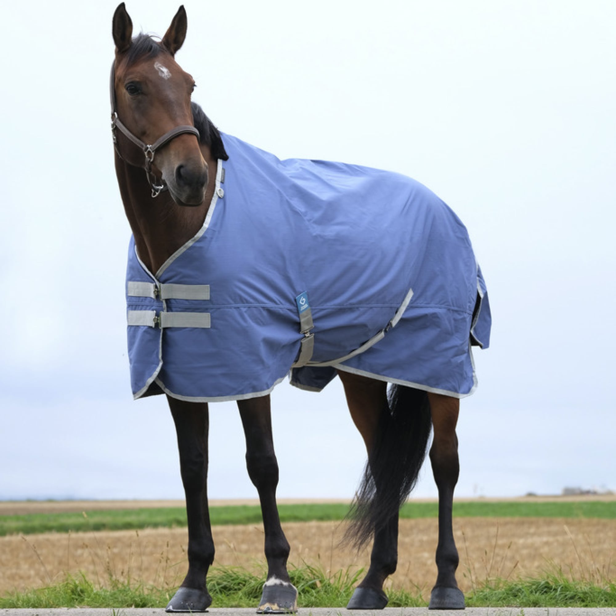 EQUITHÈME TYREX 600D RECYCLED TURNOUT RUG, 0 gr