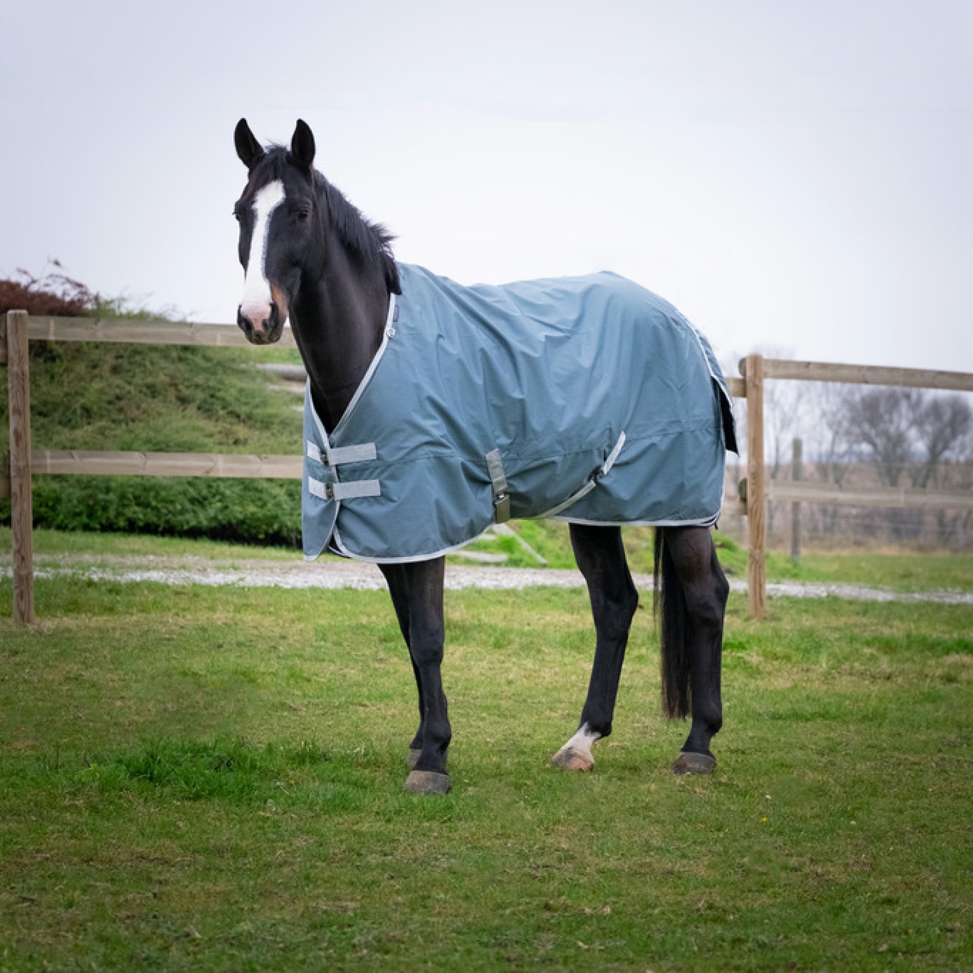EQUITHÈME TYREX 600D RECYCLED TURNOUT RUG, 150 gr