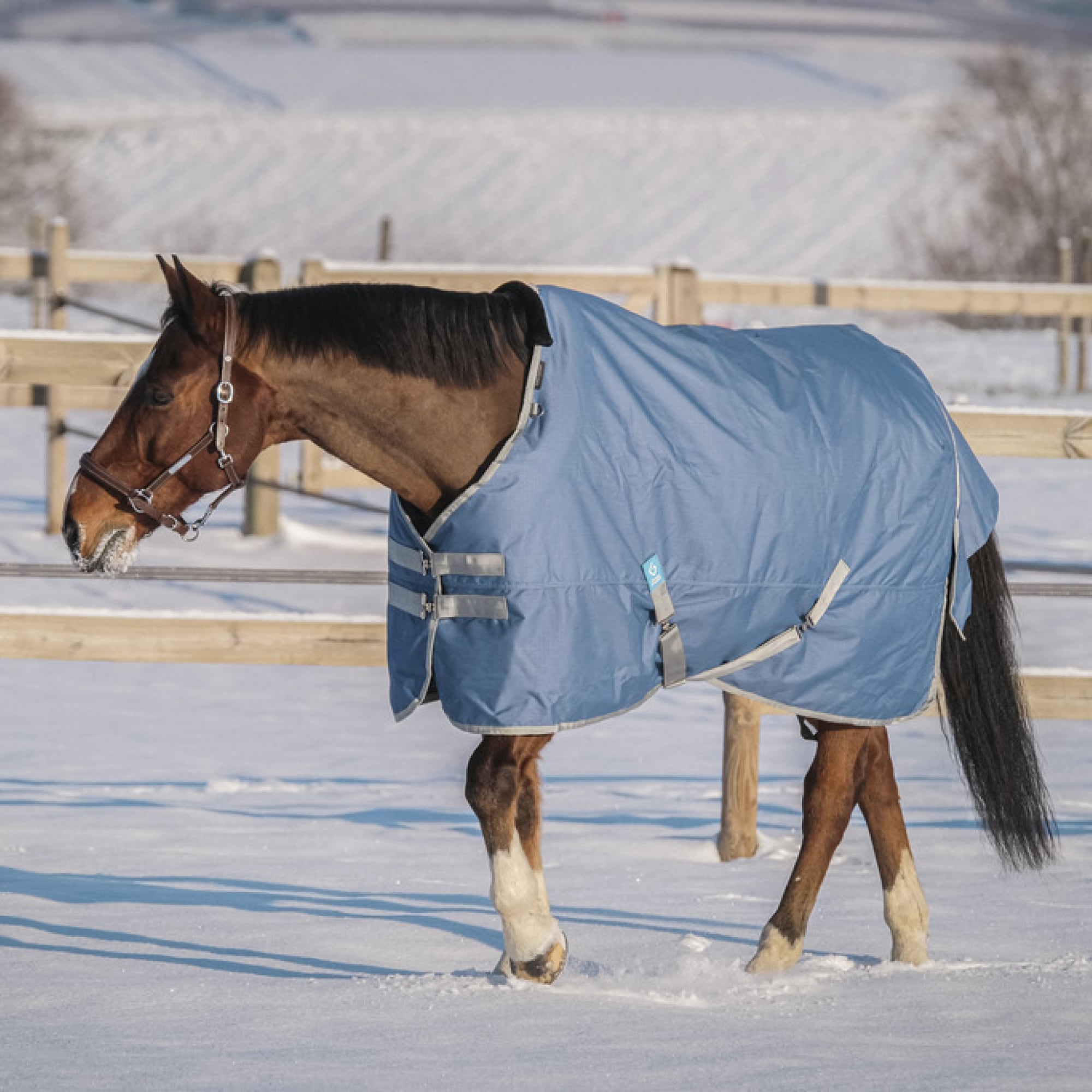 EQUITHÈME TYREX 600D RECYCLED TURNOUT RUG, 150 gr