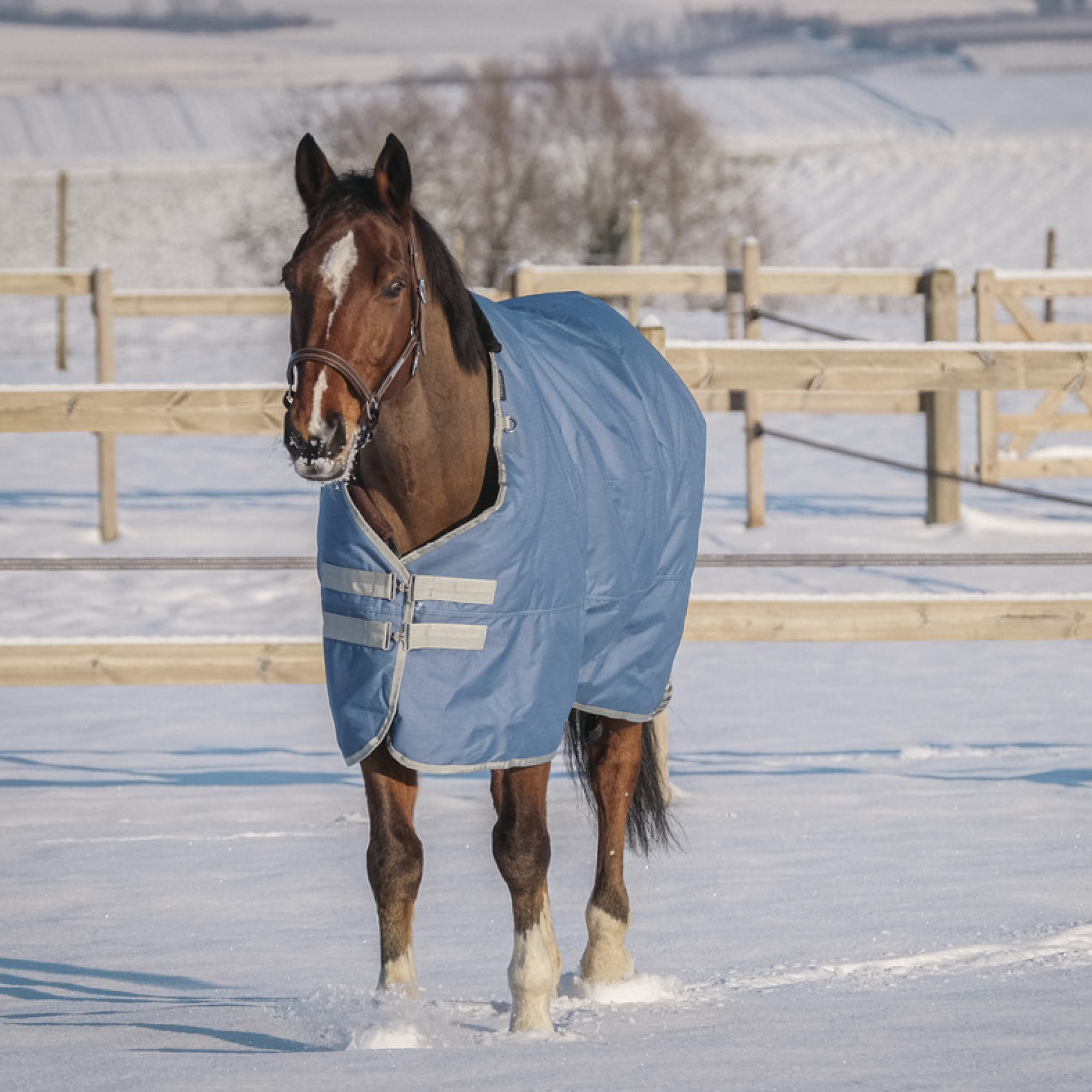 EQUITHÈME TYREX 600D RECYCLED TURNOUT RUG, 300 gr