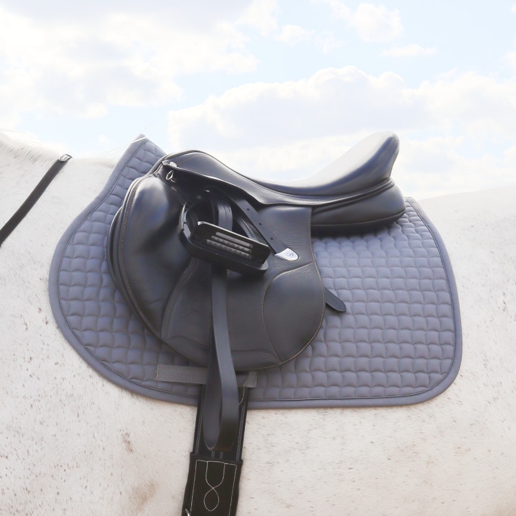 Equestrian Essentials Vielseitigkeitsschabracke