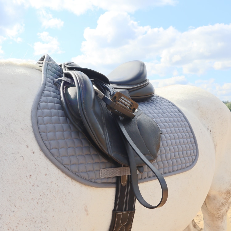 Equestrian Essentials Vielseitigkeitsschabracke