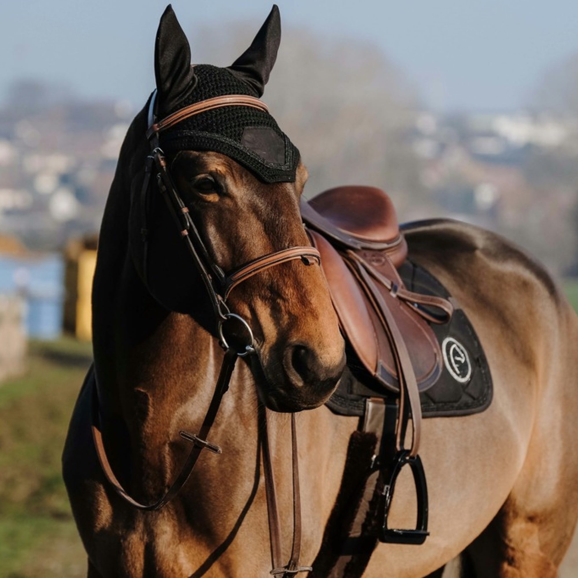 Equithème Badge saddle pad - All purpose