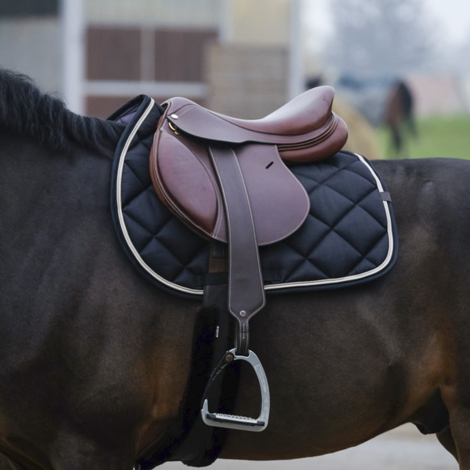 Equithème Classic Saddle pad - All purpose