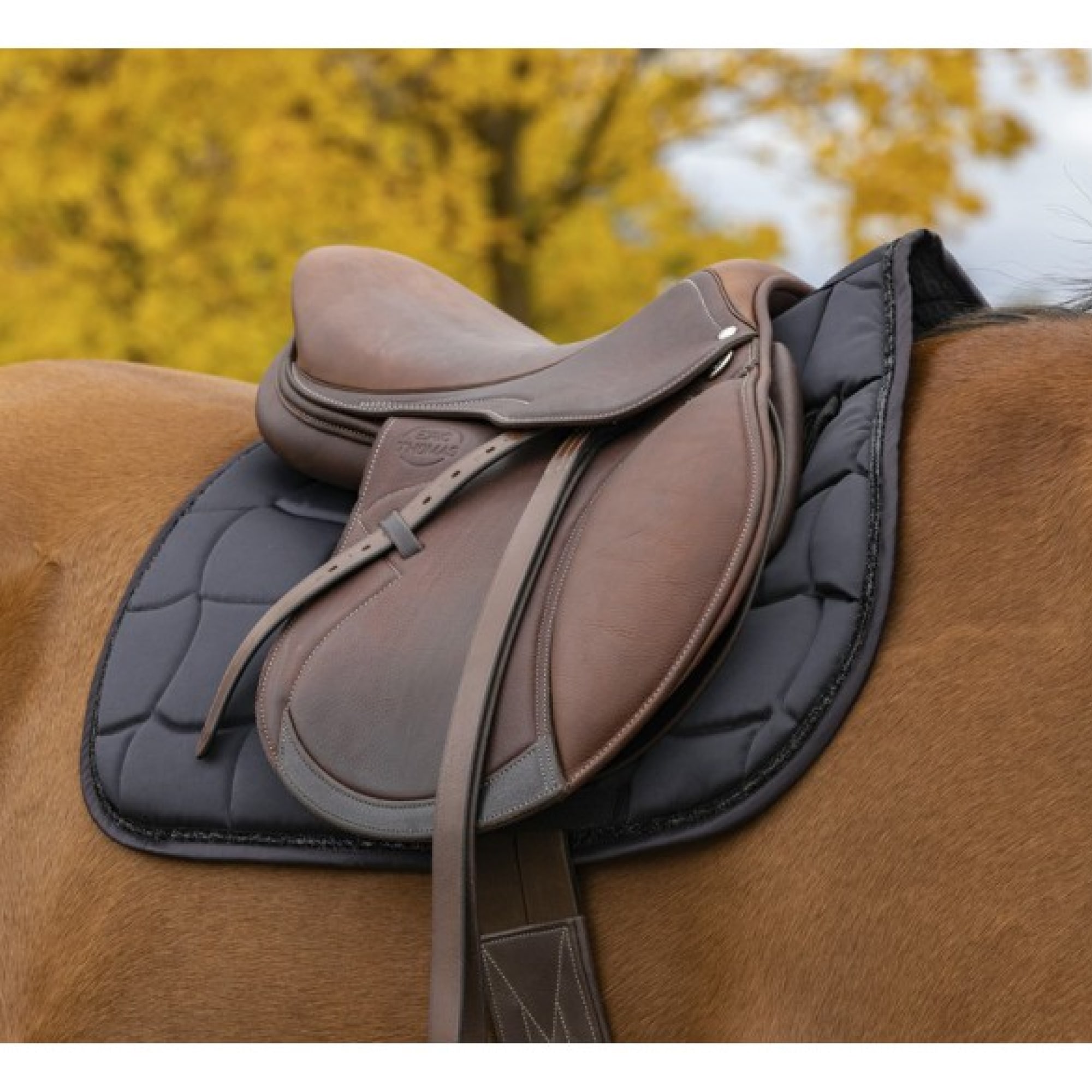 Equithème Satin Saddle pad - All purpose