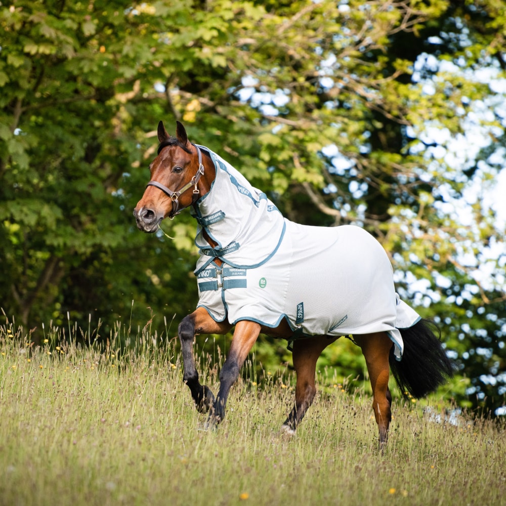 Couverture anti-insectes Horseware AmEco Bug