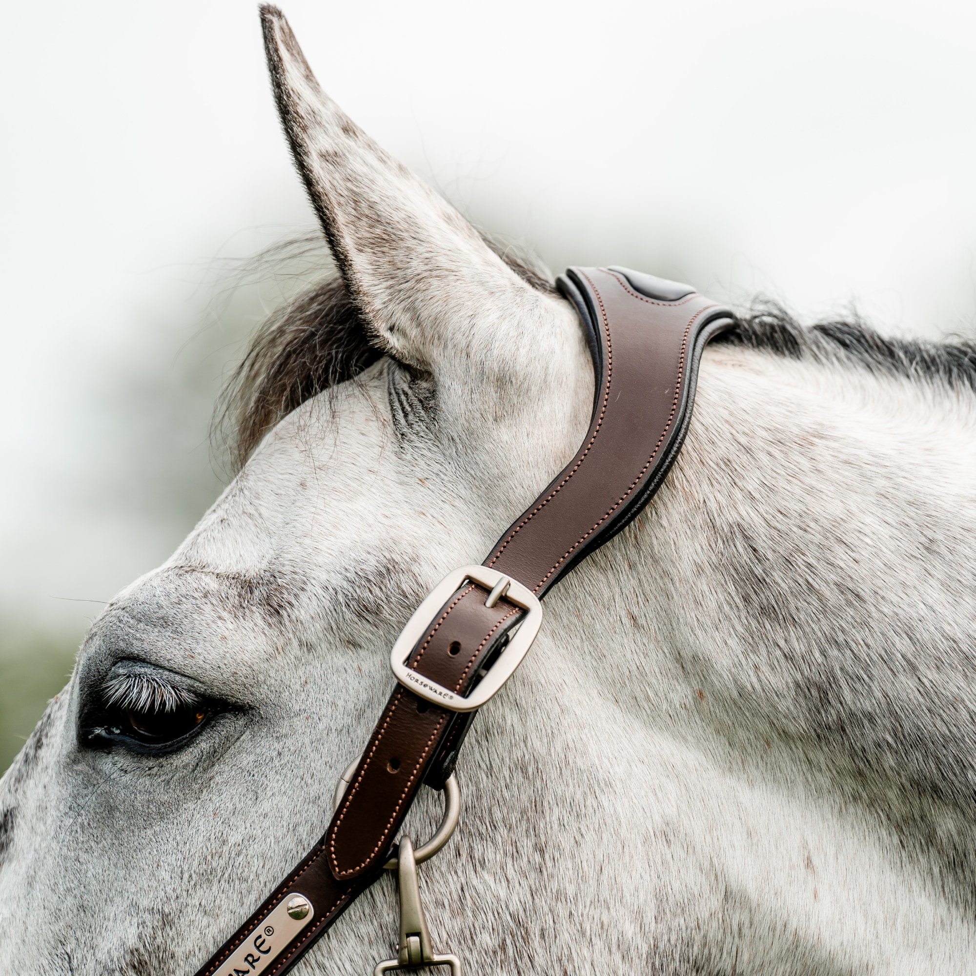 Horseware Signature Braided Headcollar