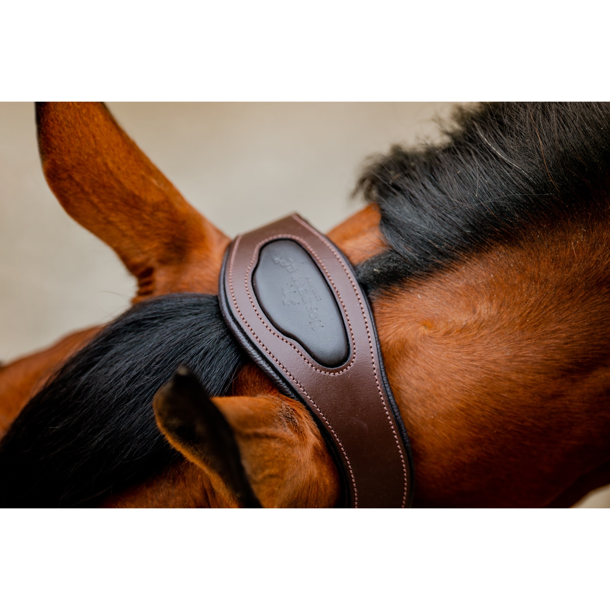 Horseware Signature Competition Headcollar