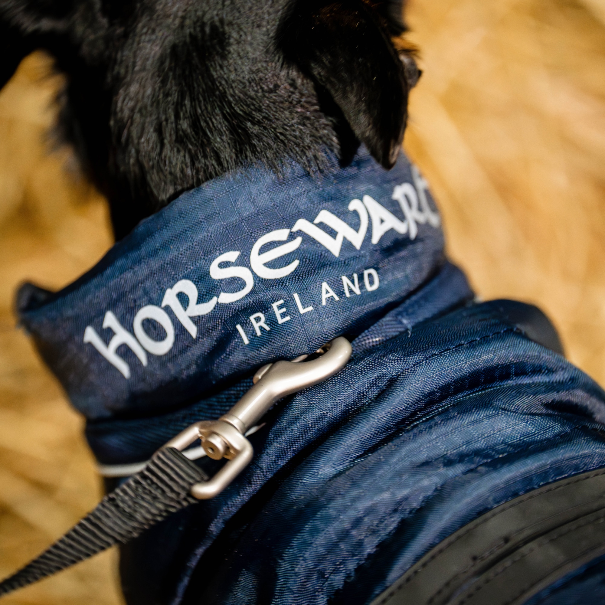 Horseware Signature Dog Blanket
