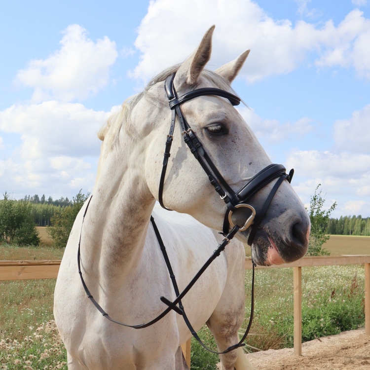 Equestrian Essentials Comfy Bridle