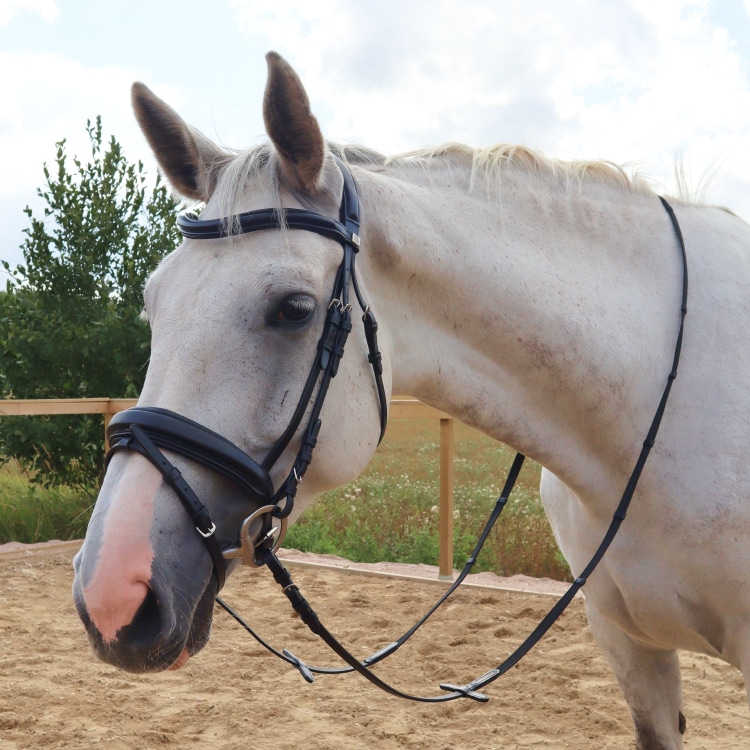 Equestrian Essentials Comfy Bridle