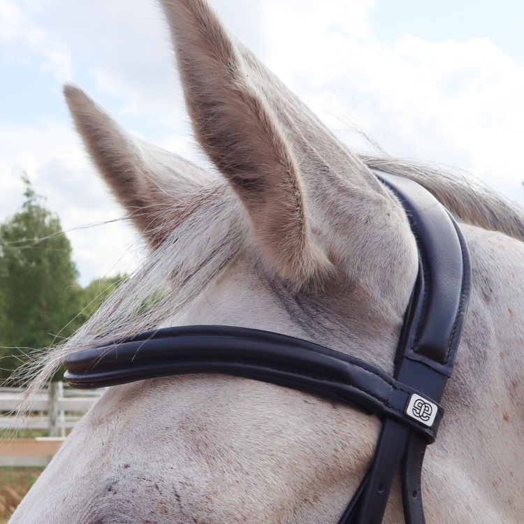 Equestrian Essentials Comfy Bridle