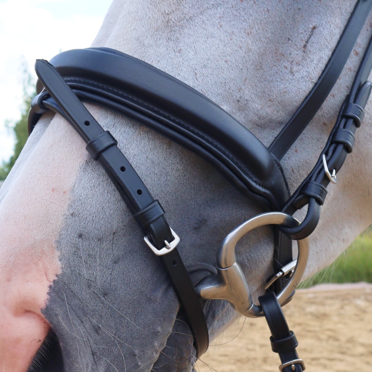 Equestrian Essentials Comfy Bridle