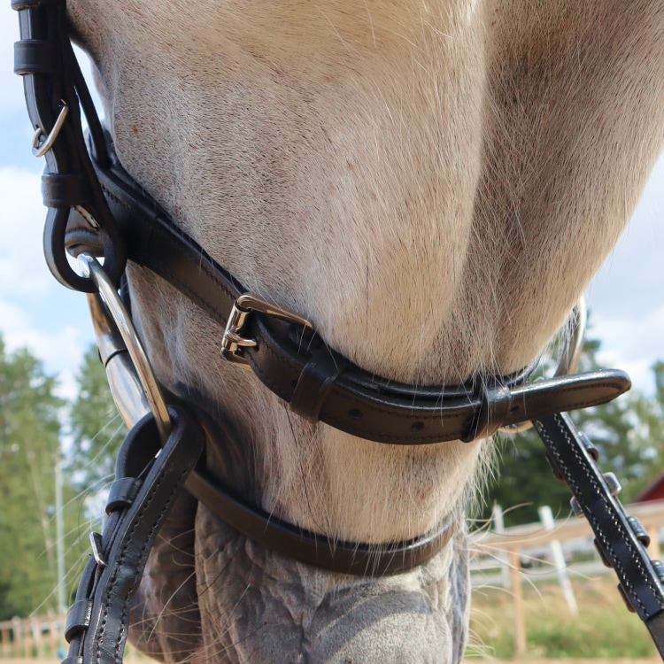 Equestrian Essentials Comfy Bridle