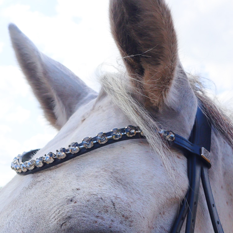 Equestrian Essentials Luxury Bridle