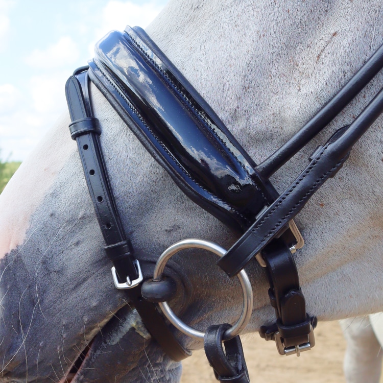 Equestrian Essentials Luxury Trense