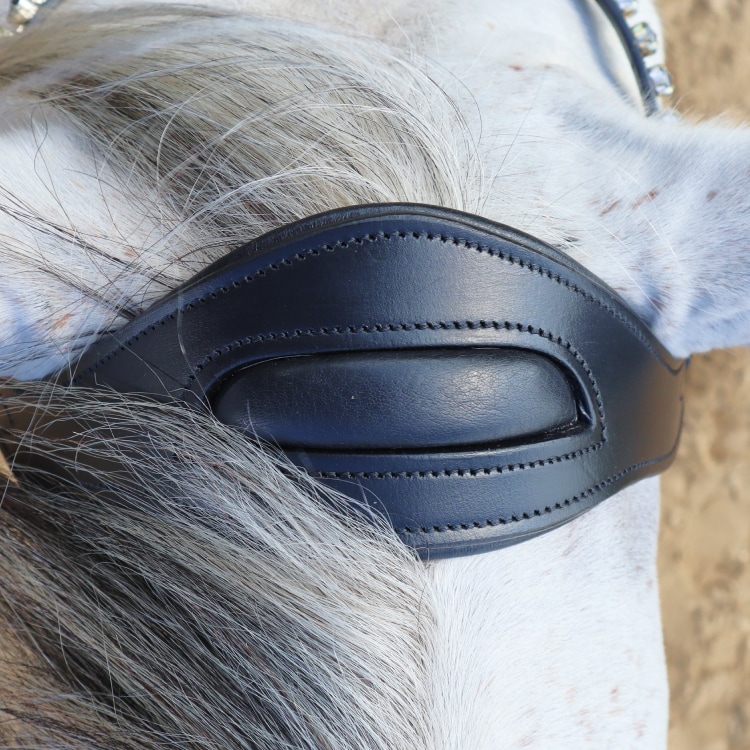 Equestrian Essentials Luxury Hodelag