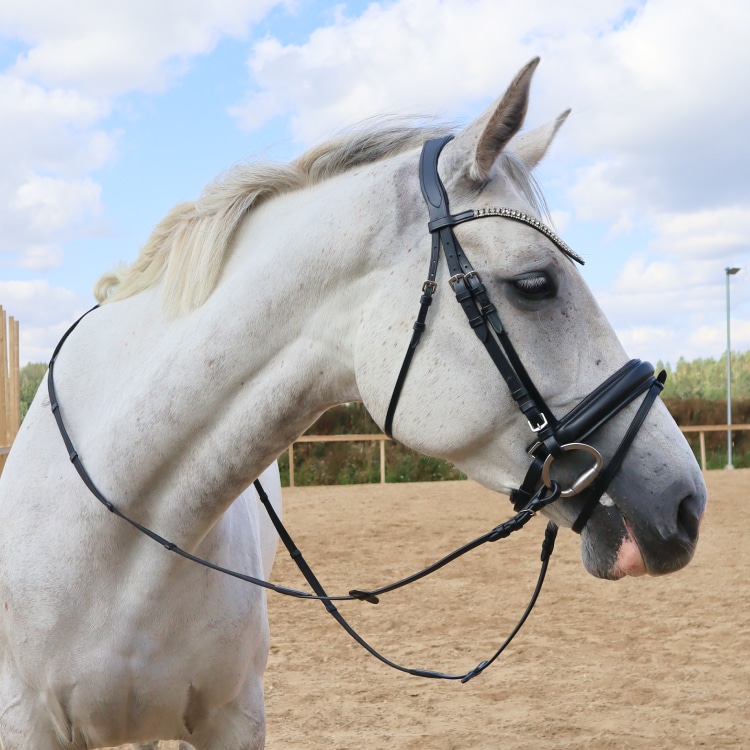 Equestrian Essentials Rich Bridle