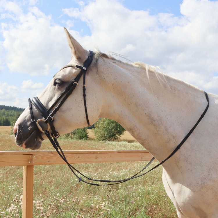 Equestrian Essentials Rich Bridle