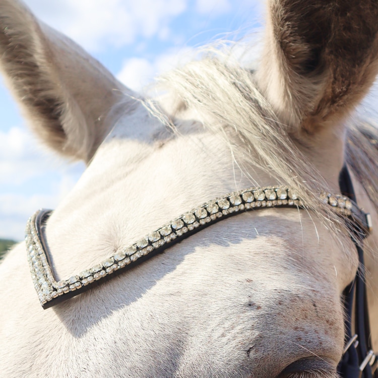 Equestrian Essentials Rich Hodelag