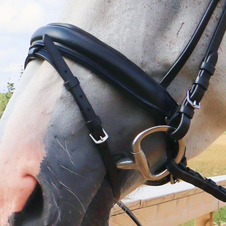 Equestrian Essentials Rich Bridle