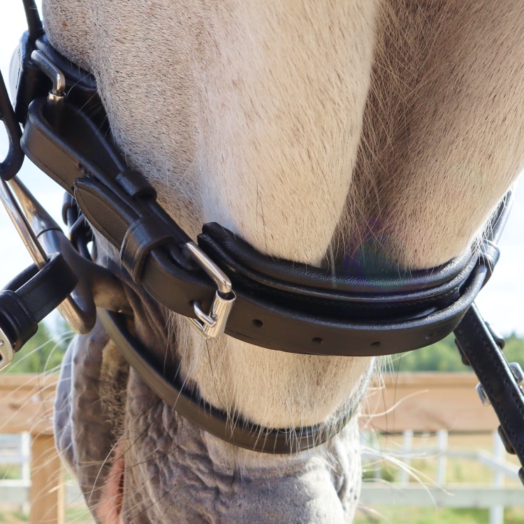 Equestrian Essentials Rich Bridle