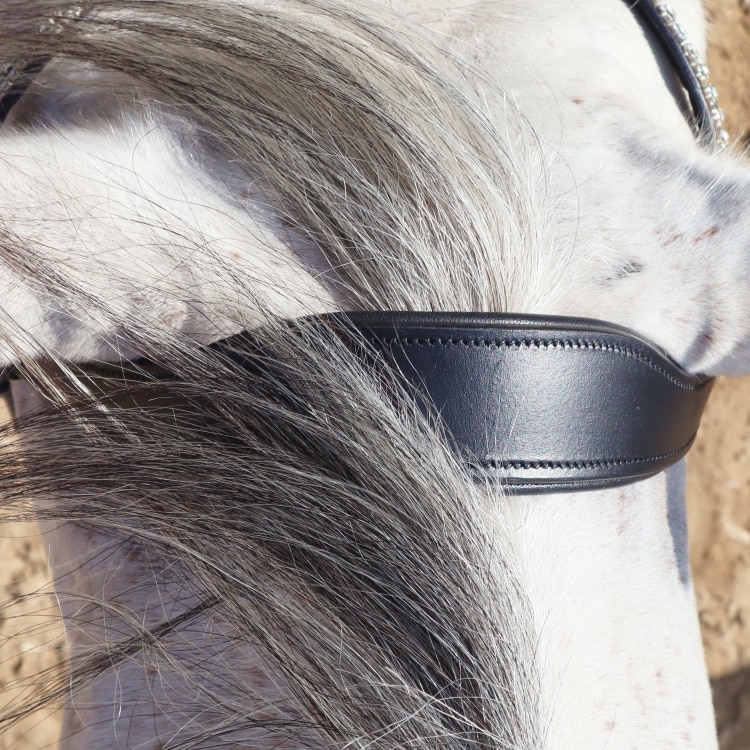 Equestrian Essentials Rich Bridle