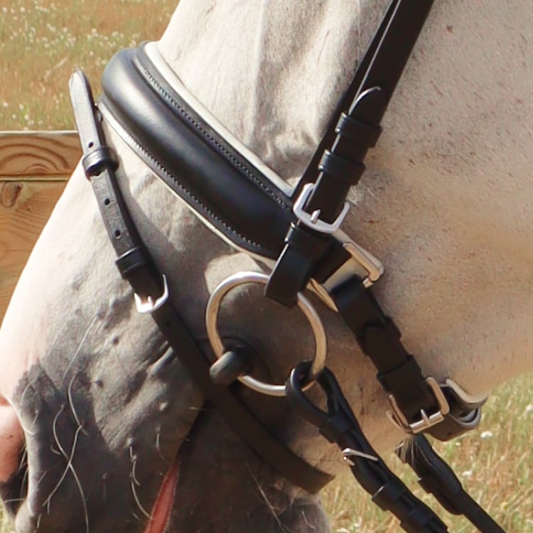 Equestrian Essentials Rich Bridle