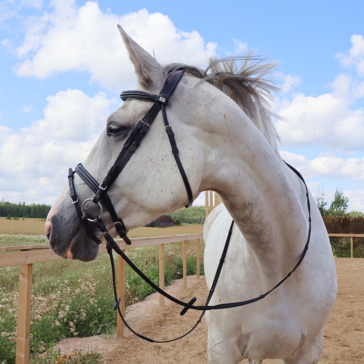 Equestrian Essentials Snug Bridle