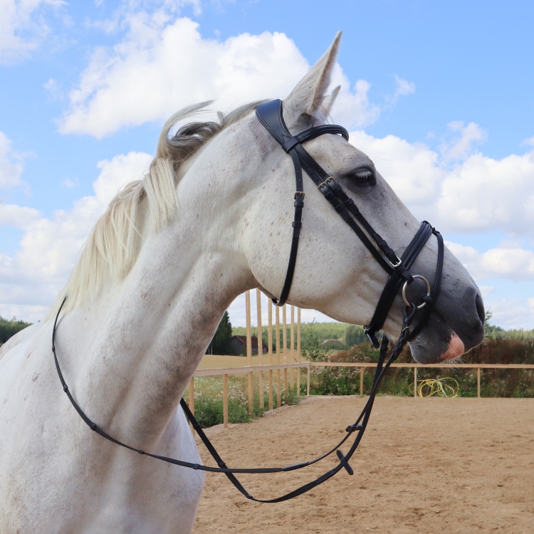 Equestrian Essentials Snug Bridle