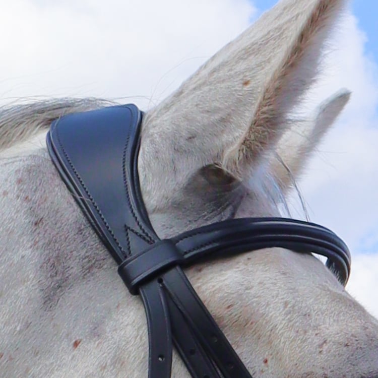 Equestrian Essentials Snug Bridle