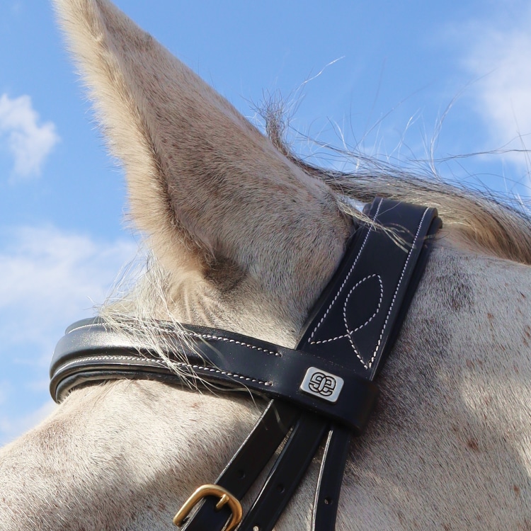 Equestrian Essentials Splendid Bridle with reins.