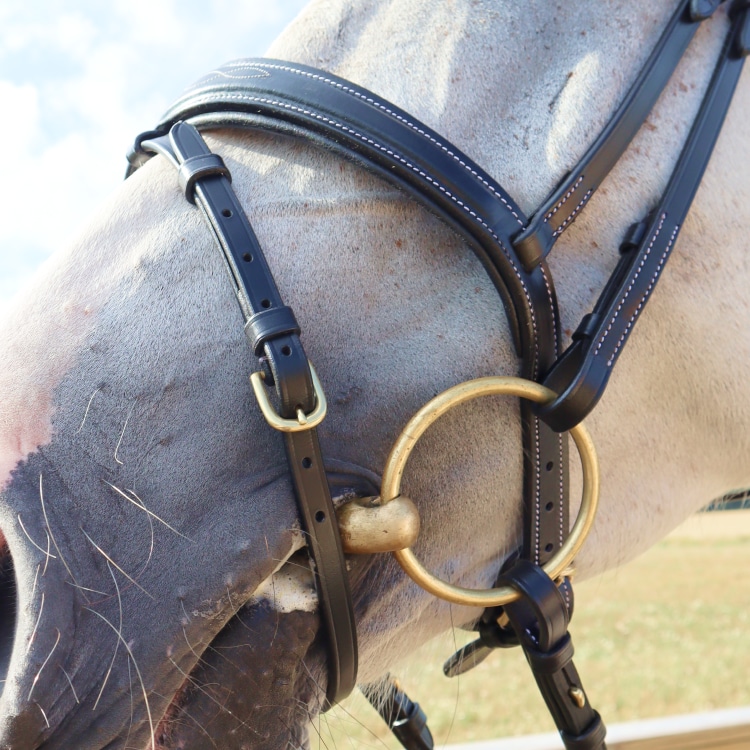 Equestrian Essentials Splendid Bridle with reins.