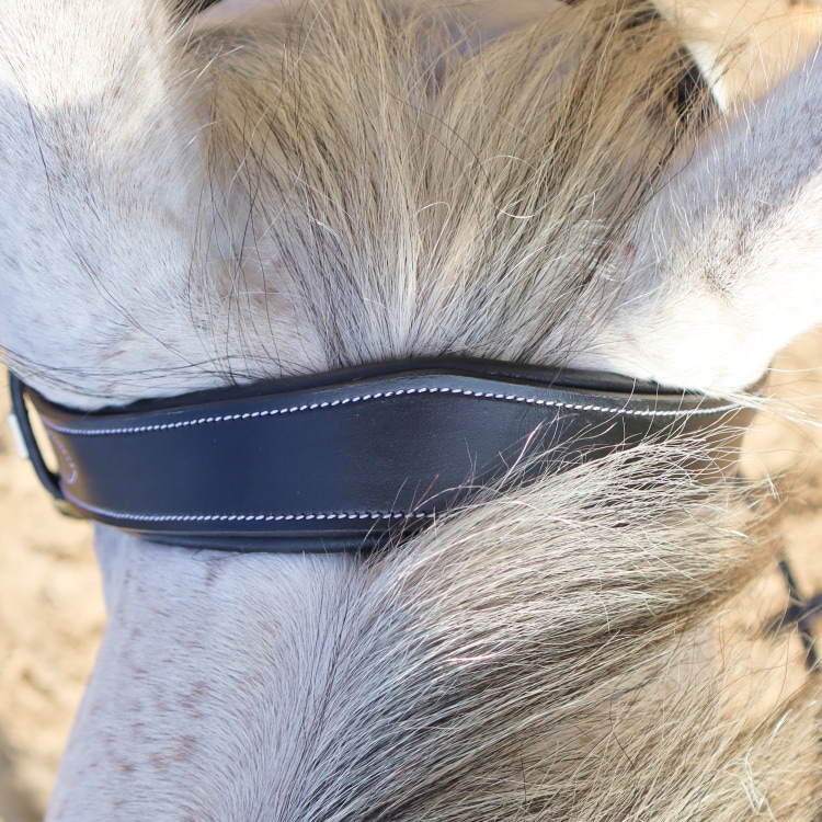 Equestrian Essentials Splendid Bridle with reins.