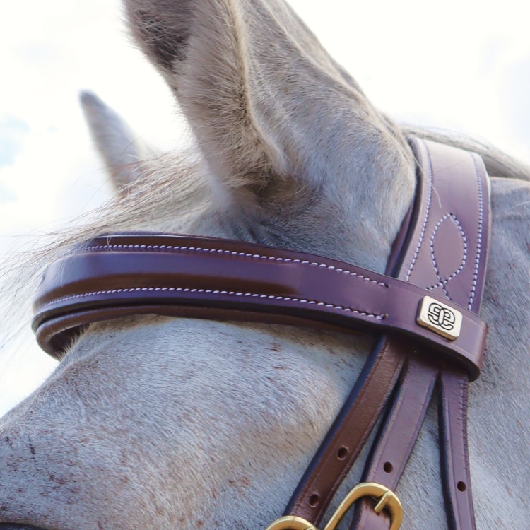 Equestrian Essentials Splendid Bridle with reins.