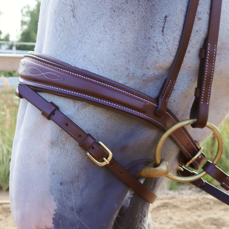 Equestrian Essentials Splendid Bridle with reins.