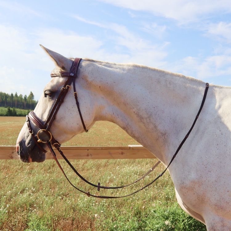 Equestrian Essentials Splendid Bridle with reins.