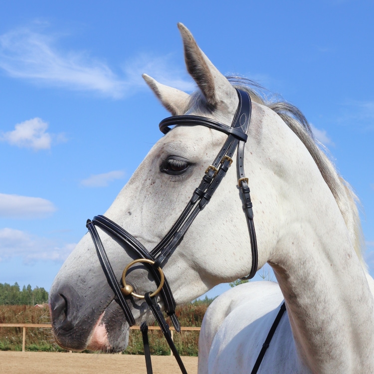 Cabezada Equestrian Essentials con costuras blancas, incluye riendas.