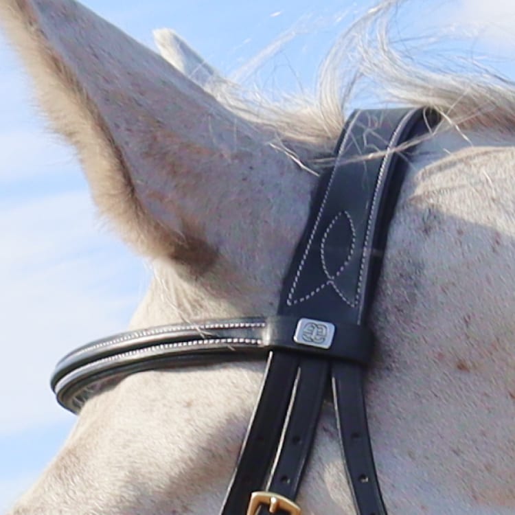 Equestrian Essentials Testiera con cuciture bianche, con redini.