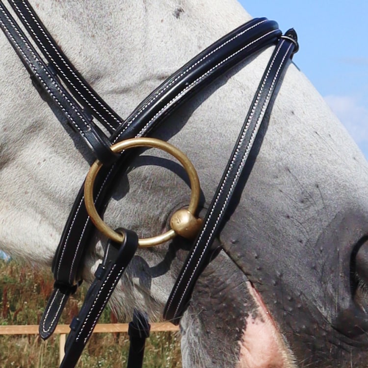 Equestrian Essentials White Stitch trense, mit Zügeln