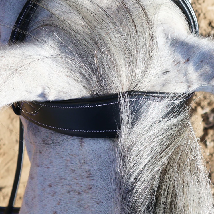 Equestrian Essentials White stitch träns, med tyglar