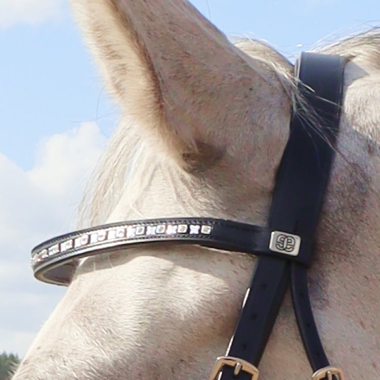 Equestrian Essentials Vital Hoofdstel, inclusief teugels